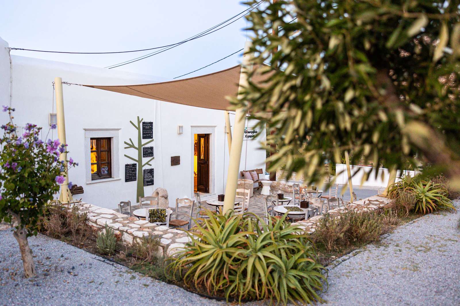 Eggares Olive Oil Museum